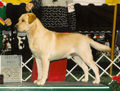 oswick english setters