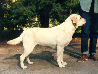 Chloe.JPG (92976 bytes)