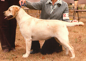 Echobpsm.JPG (76367 bytes)