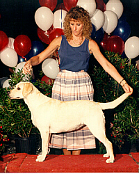 MoonliteKellyPup.JPG (79263 bytes)
