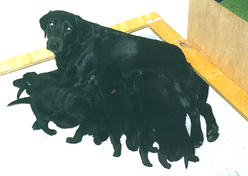 Txbrianursing2.JPG (74029 bytes)